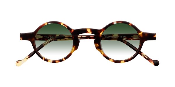 Front of Enno in Tortoise