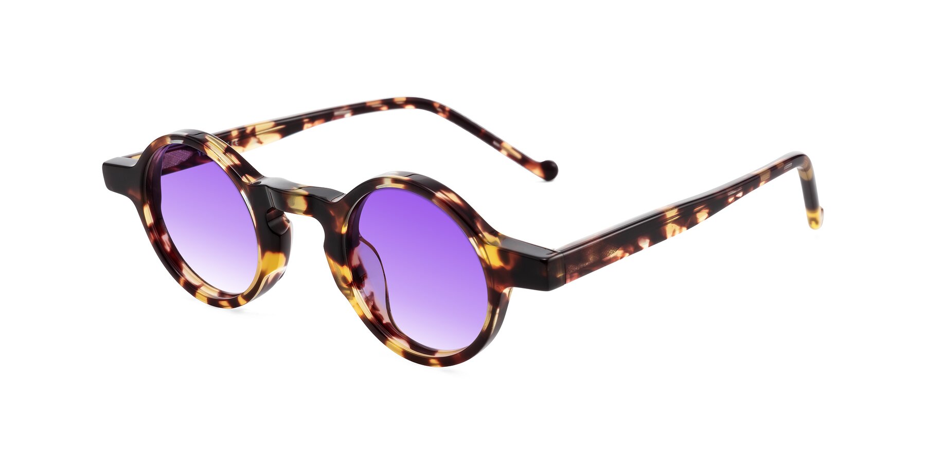 Angle of Enno in Tortoise with Purple Gradient Lenses