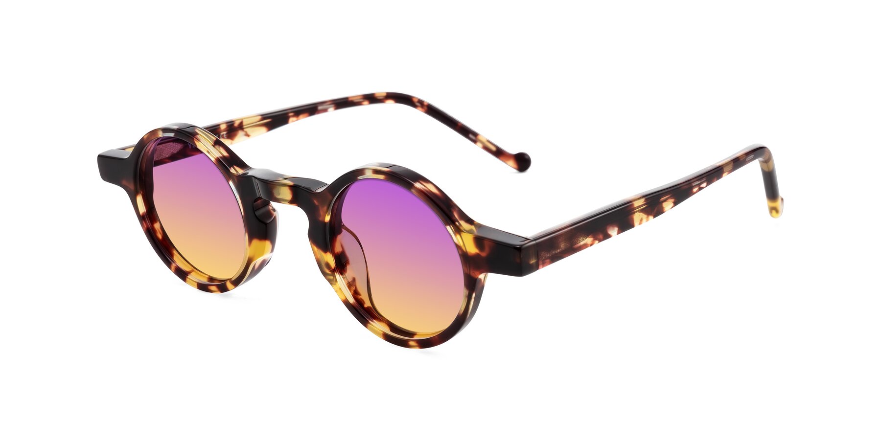 Angle of Enno in Tortoise with Purple / Yellow Gradient Lenses