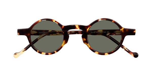 Front of Enno in Tortoise