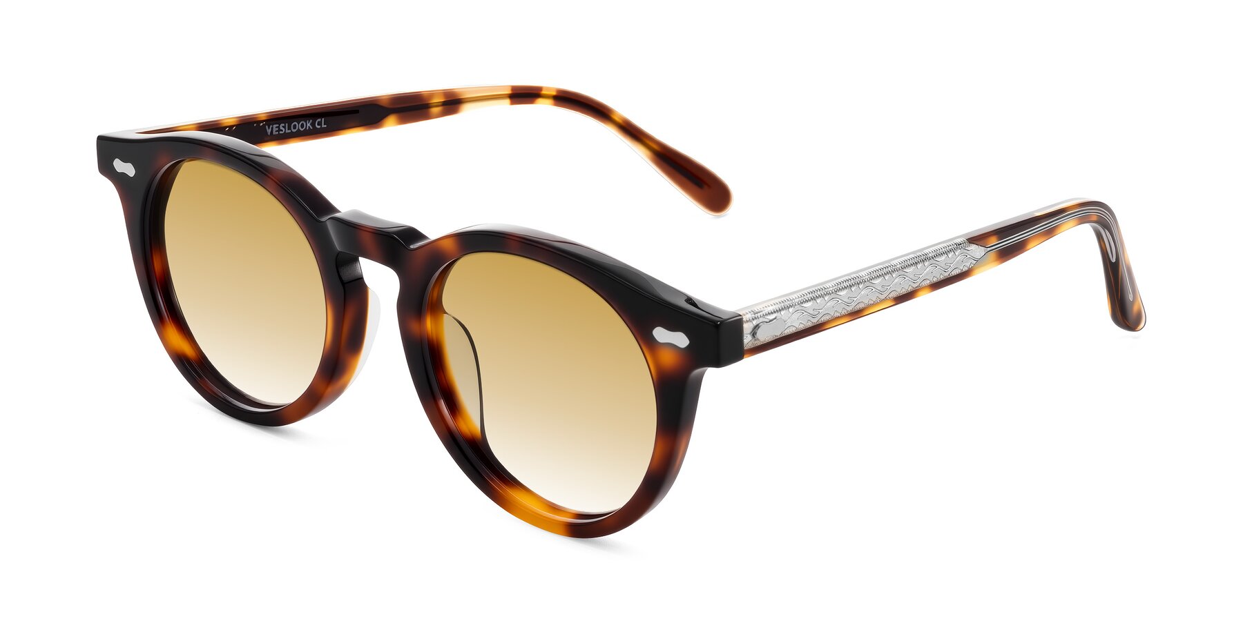 Angle of Jairo in Tortoise with Champagne Gradient Lenses