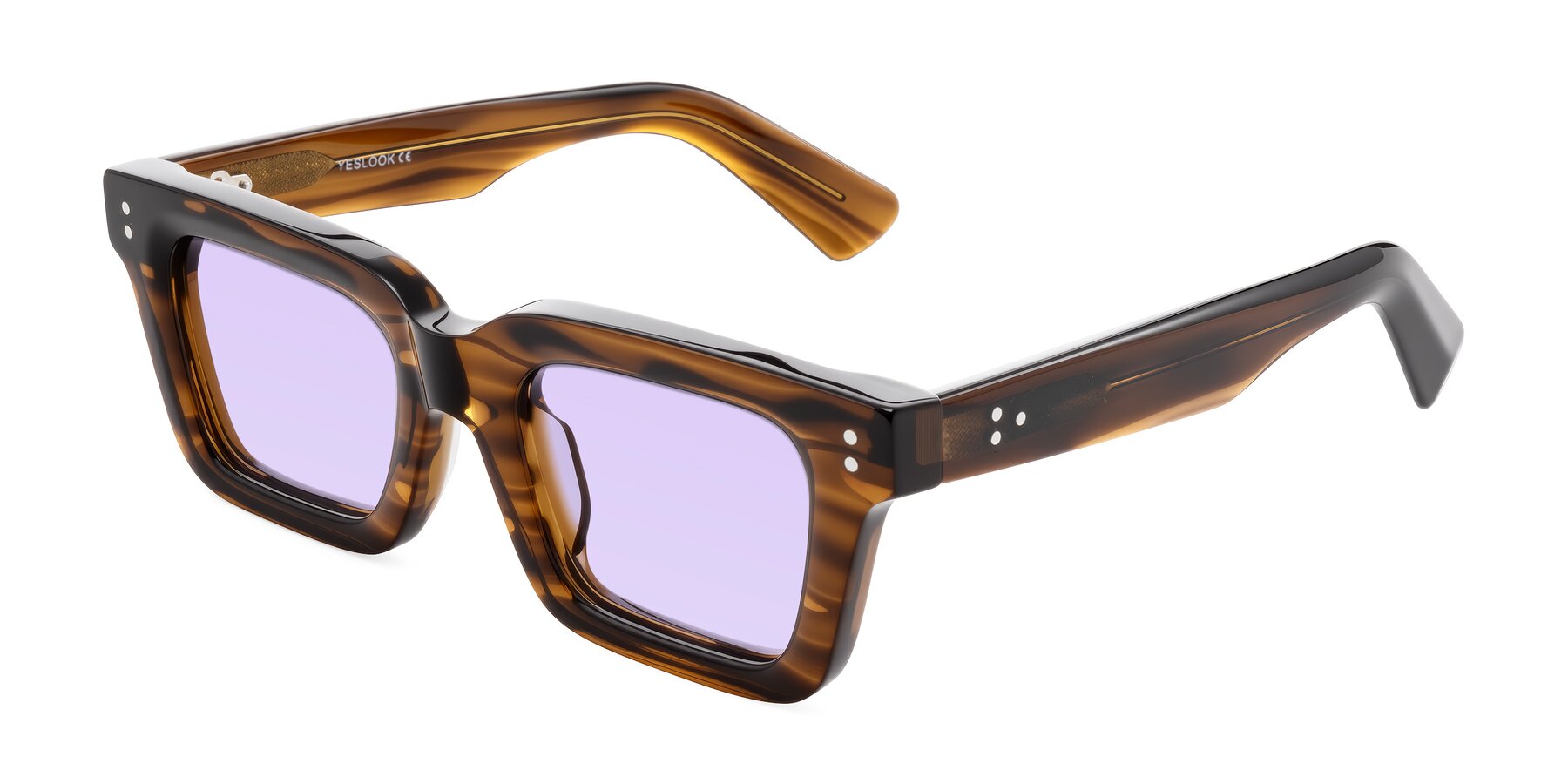 Angle of Izael in Dark Brown Striped with Light Purple Tinted Lenses