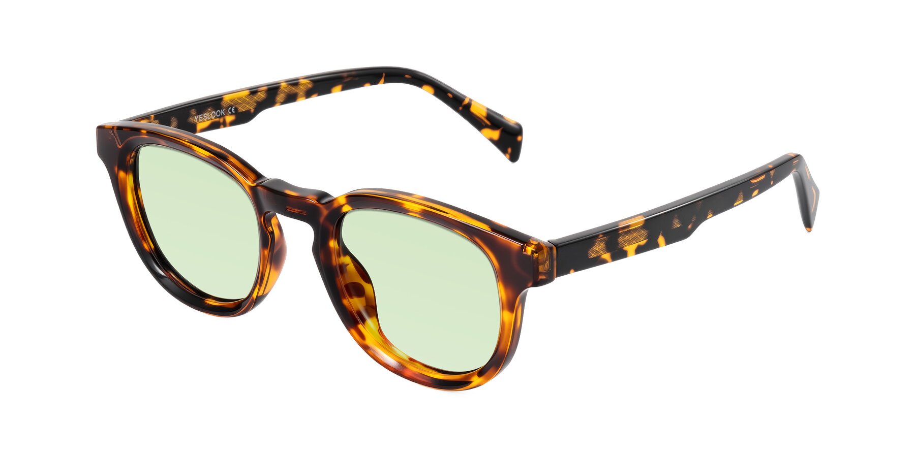 Angle of Iffer in Tortoise with Light Green Tinted Lenses