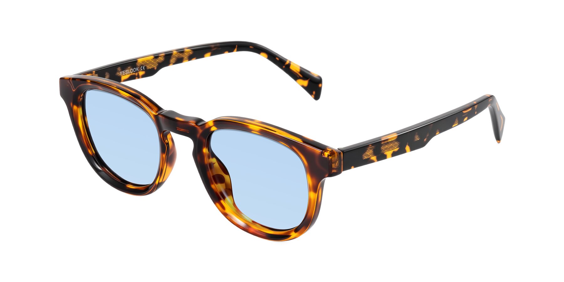 Angle of Iffer in Tortoise with Light Blue Tinted Lenses