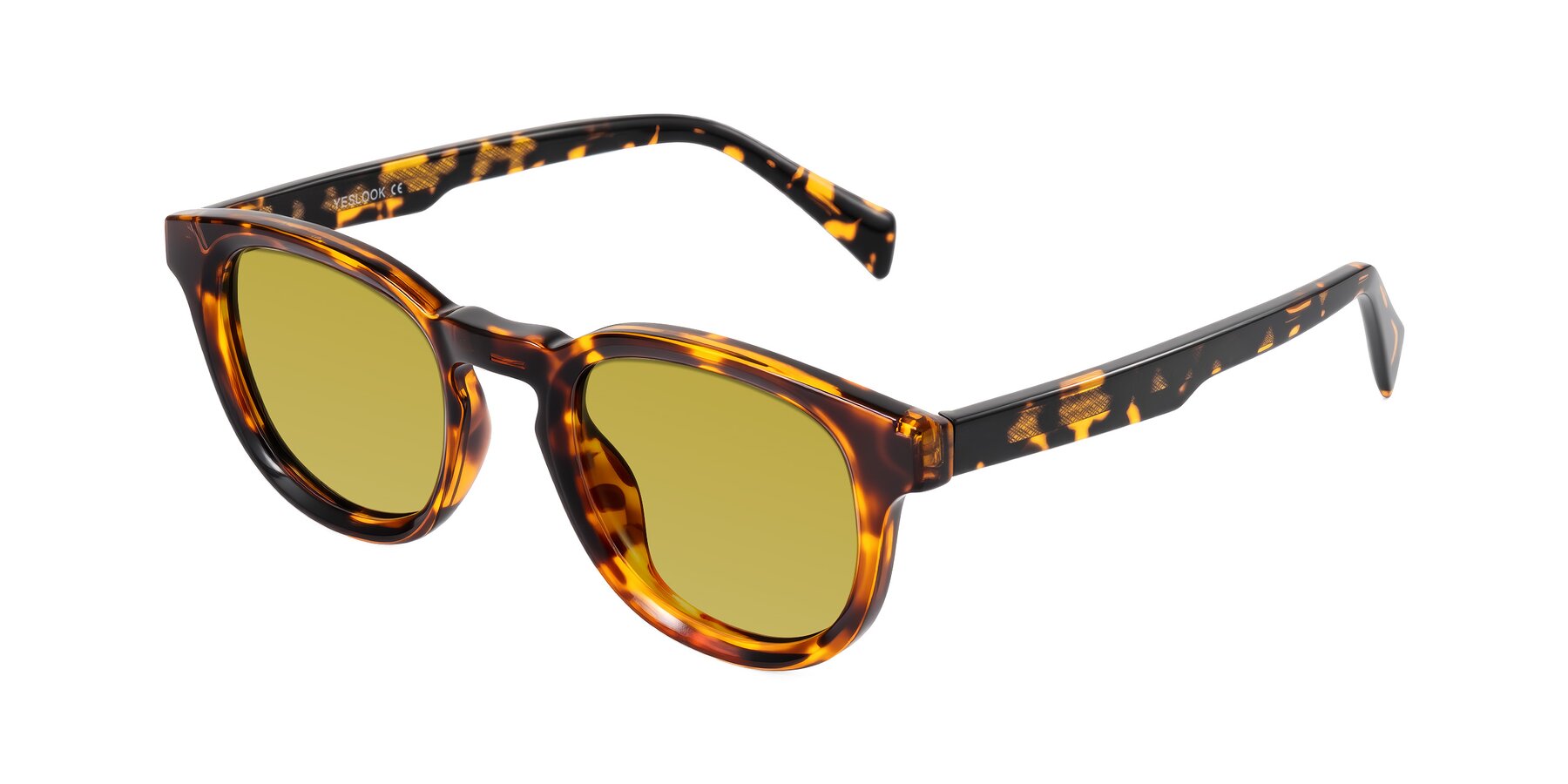Angle of Iffer in Tortoise with Champagne Tinted Lenses