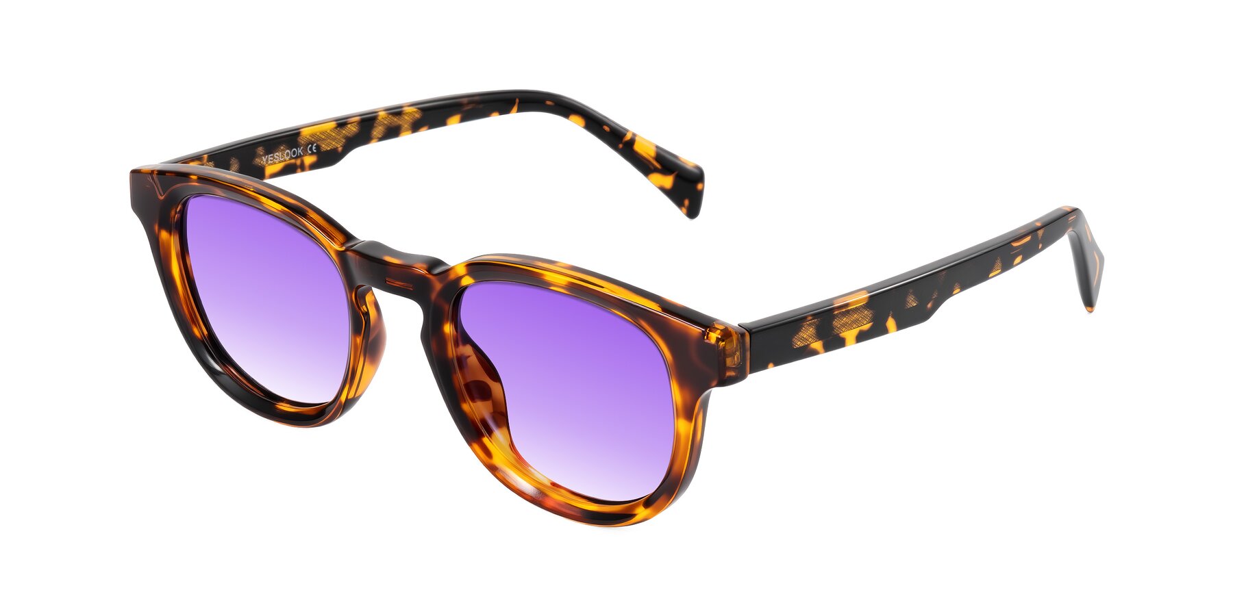 Angle of Iffer in Tortoise with Purple Gradient Lenses