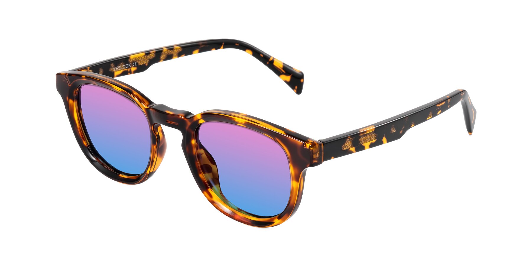 Angle of Iffer in Tortoise with Pink / Blue Gradient Lenses