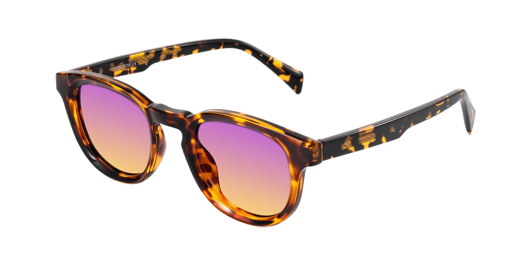Angle of Iffer in Tortoise with Purple / Yellow Gradient Lenses