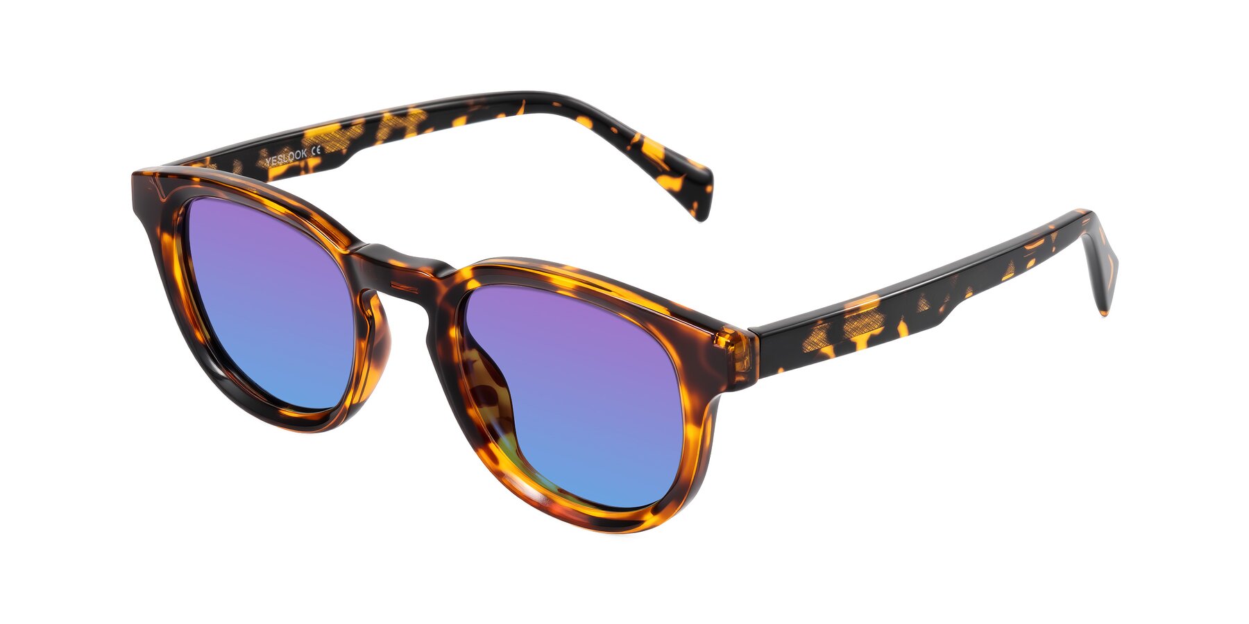 Angle of Iffer in Tortoise with Purple / Blue Gradient Lenses