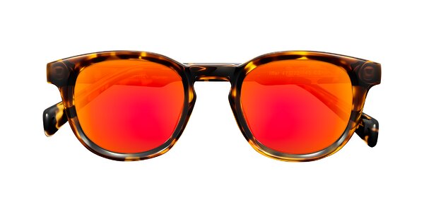 Front of Iffer in Tortoise