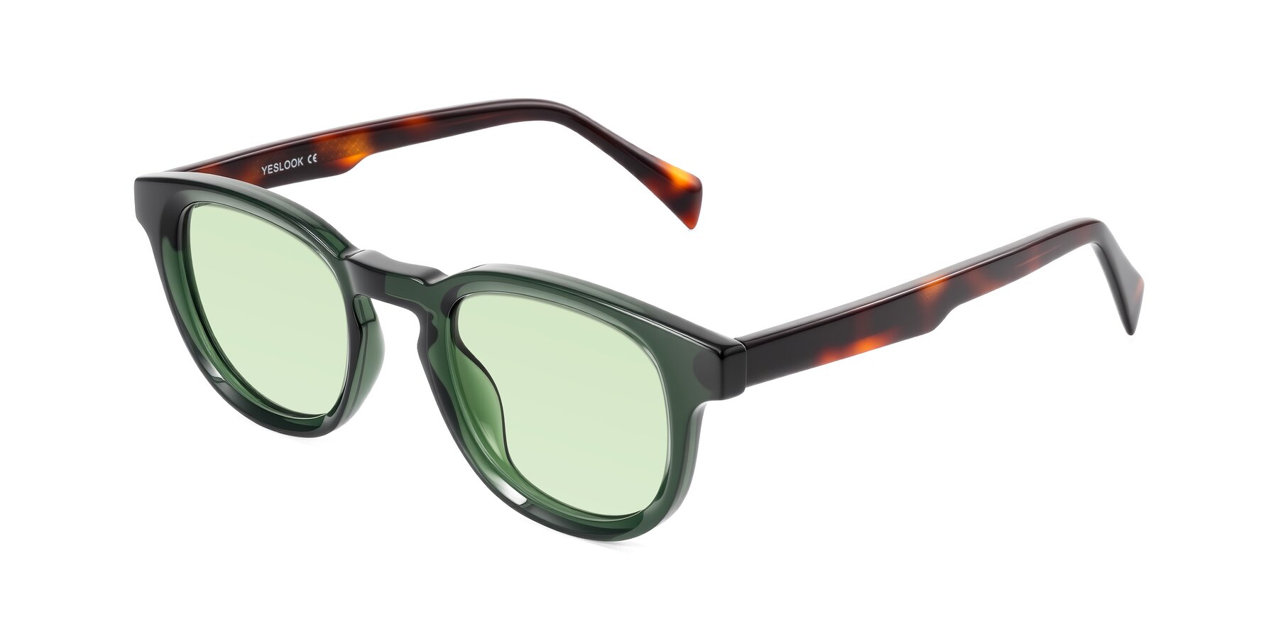 Angle of Iffer in Dark Green/Tortoise with Light Green Tinted Lenses