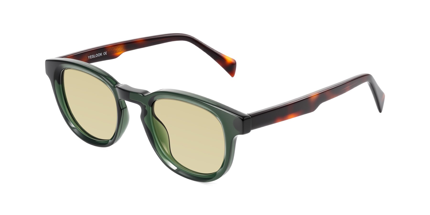 Angle of Iffer in Dark Green/Tortoise with Light Champagne Tinted Lenses