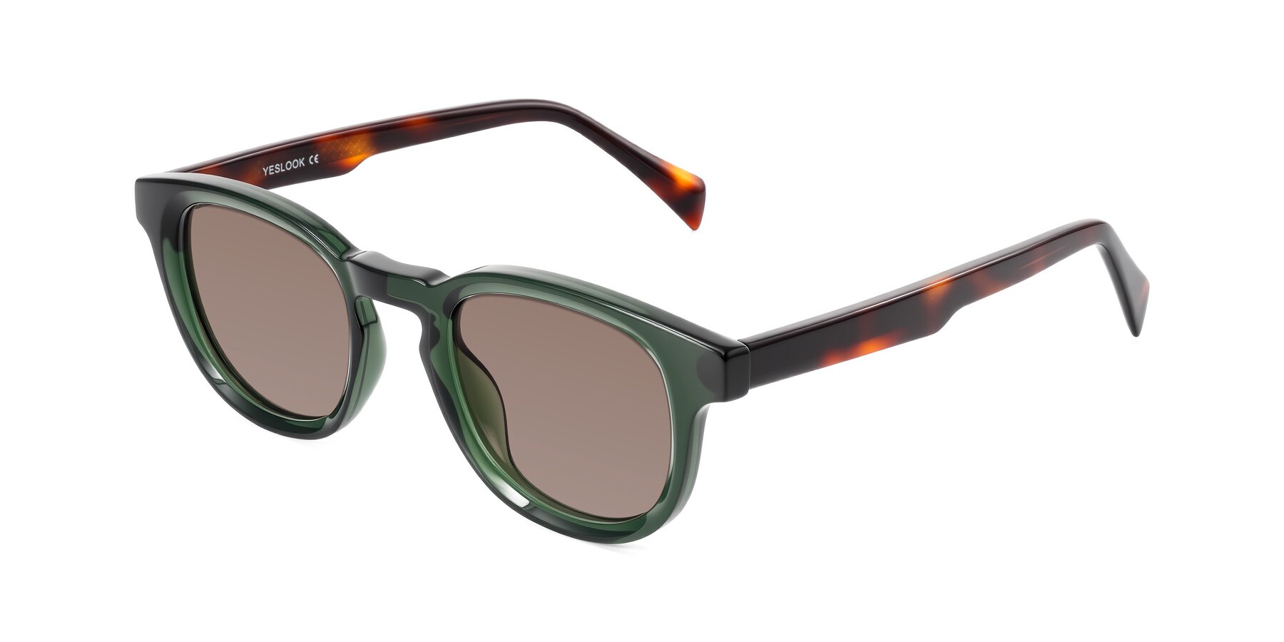 Angle of Iffer in Dark Green/Tortoise with Medium Brown Tinted Lenses