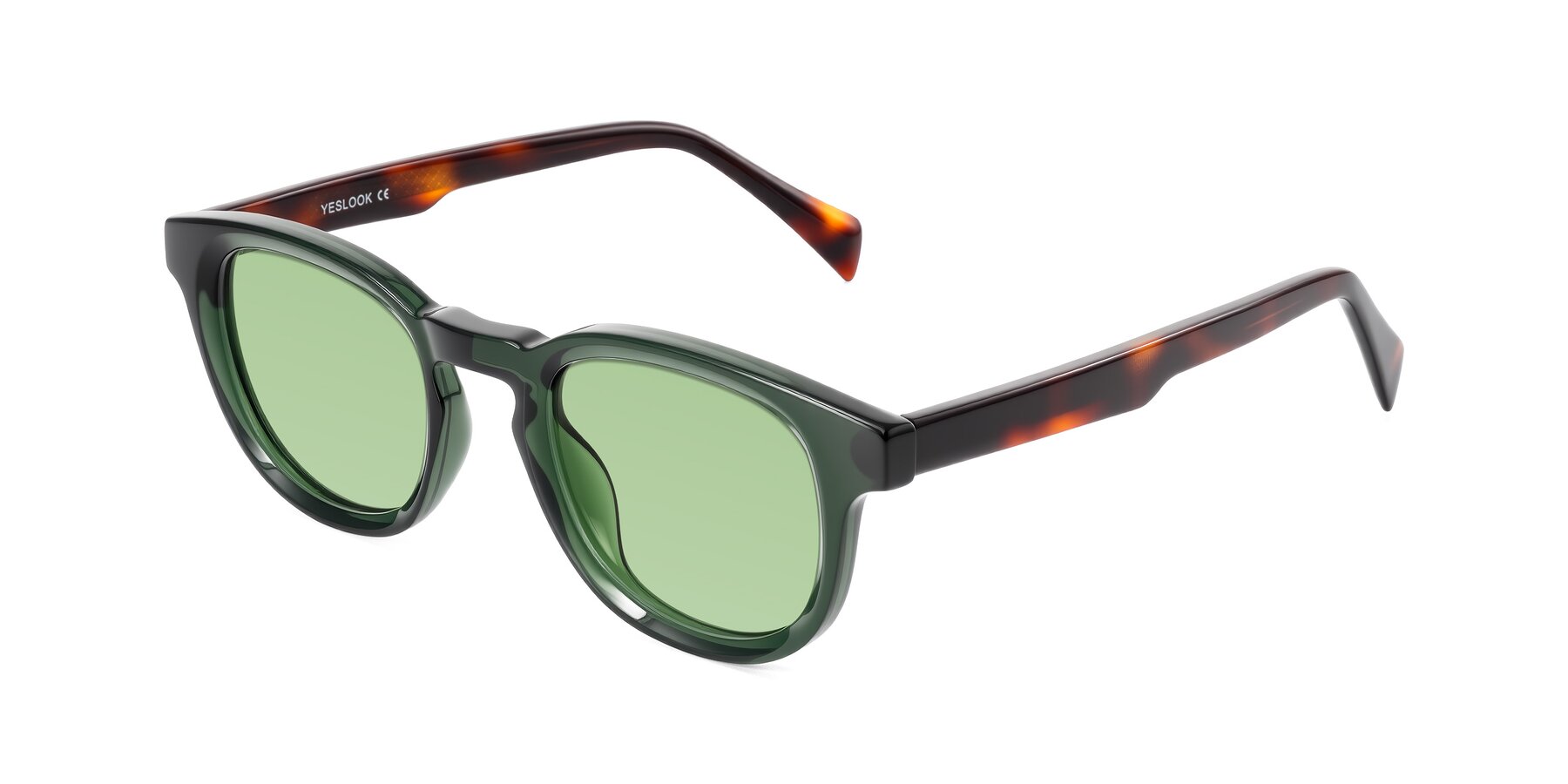 Angle of Iffer in Dark Green/Tortoise with Medium Green Tinted Lenses