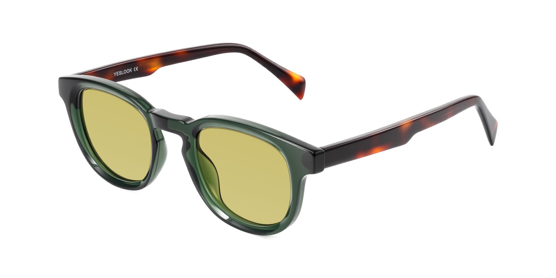 Angle of Iffer in Dark Green/Tortoise with Medium Champagne Tinted Lenses