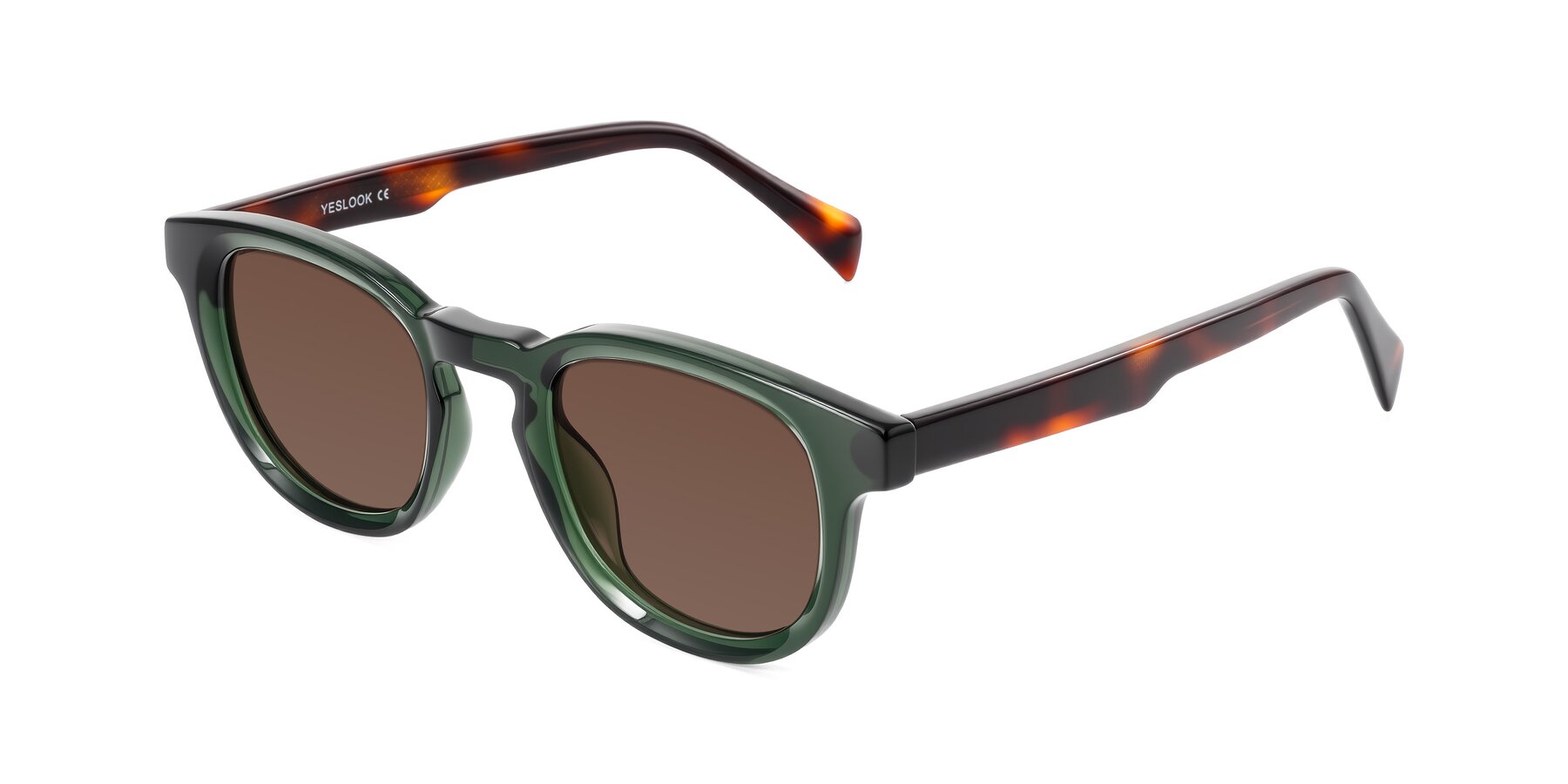 Angle of Iffer in Dark Green/Tortoise with Brown Tinted Lenses