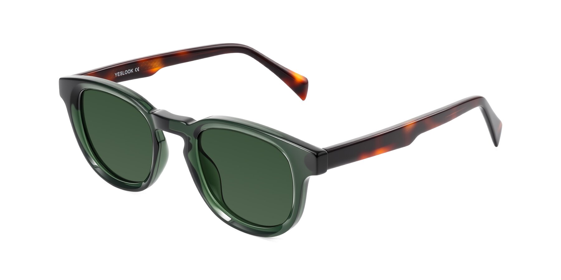 Angle of Iffer in Dark Green/Tortoise with Green Tinted Lenses