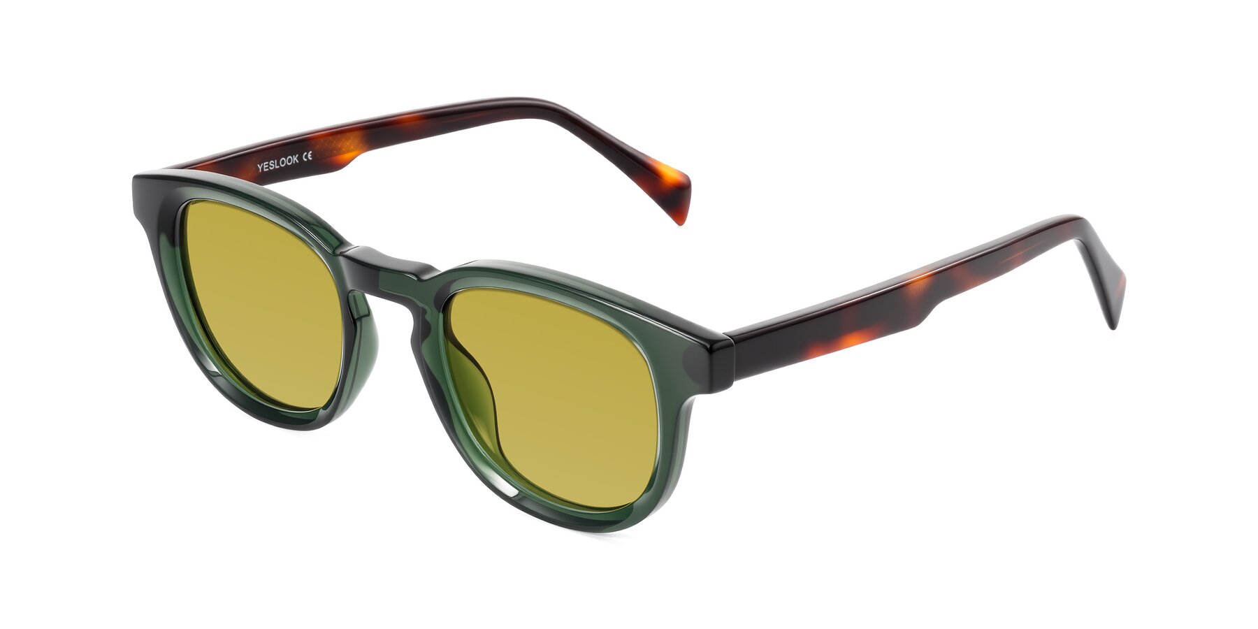 Angle of Iffer in Dark Green/Tortoise with Champagne Tinted Lenses