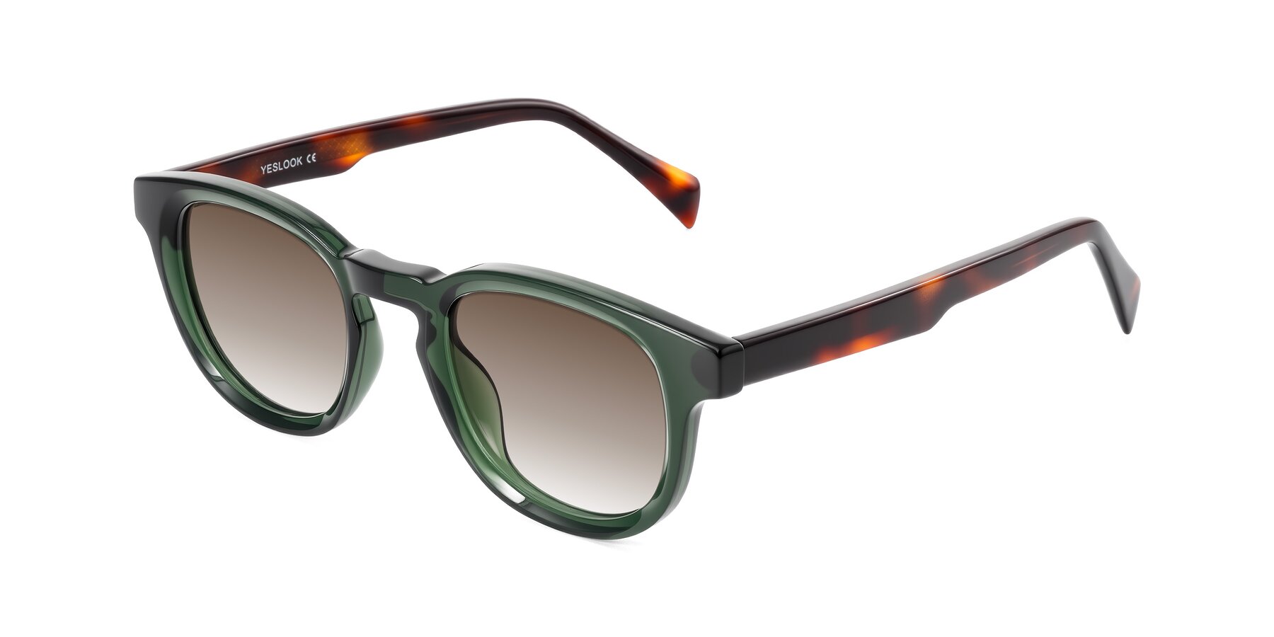 Angle of Iffer in Dark Green/Tortoise with Brown Gradient Lenses