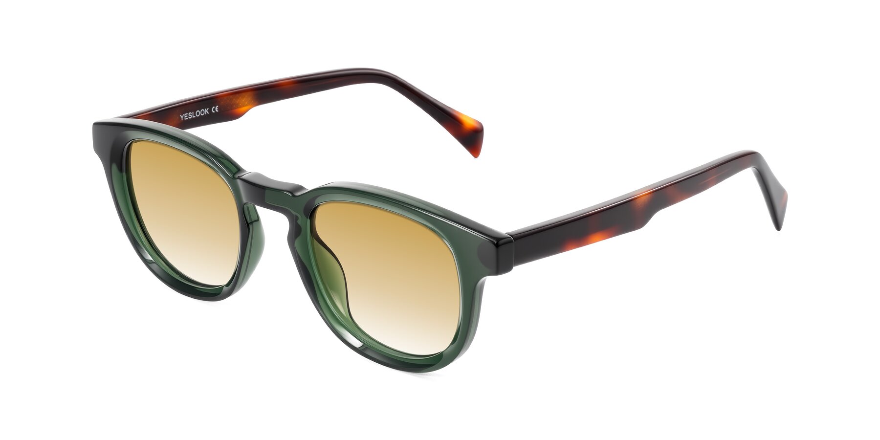 Angle of Iffer in Dark Green/Tortoise with Champagne Gradient Lenses