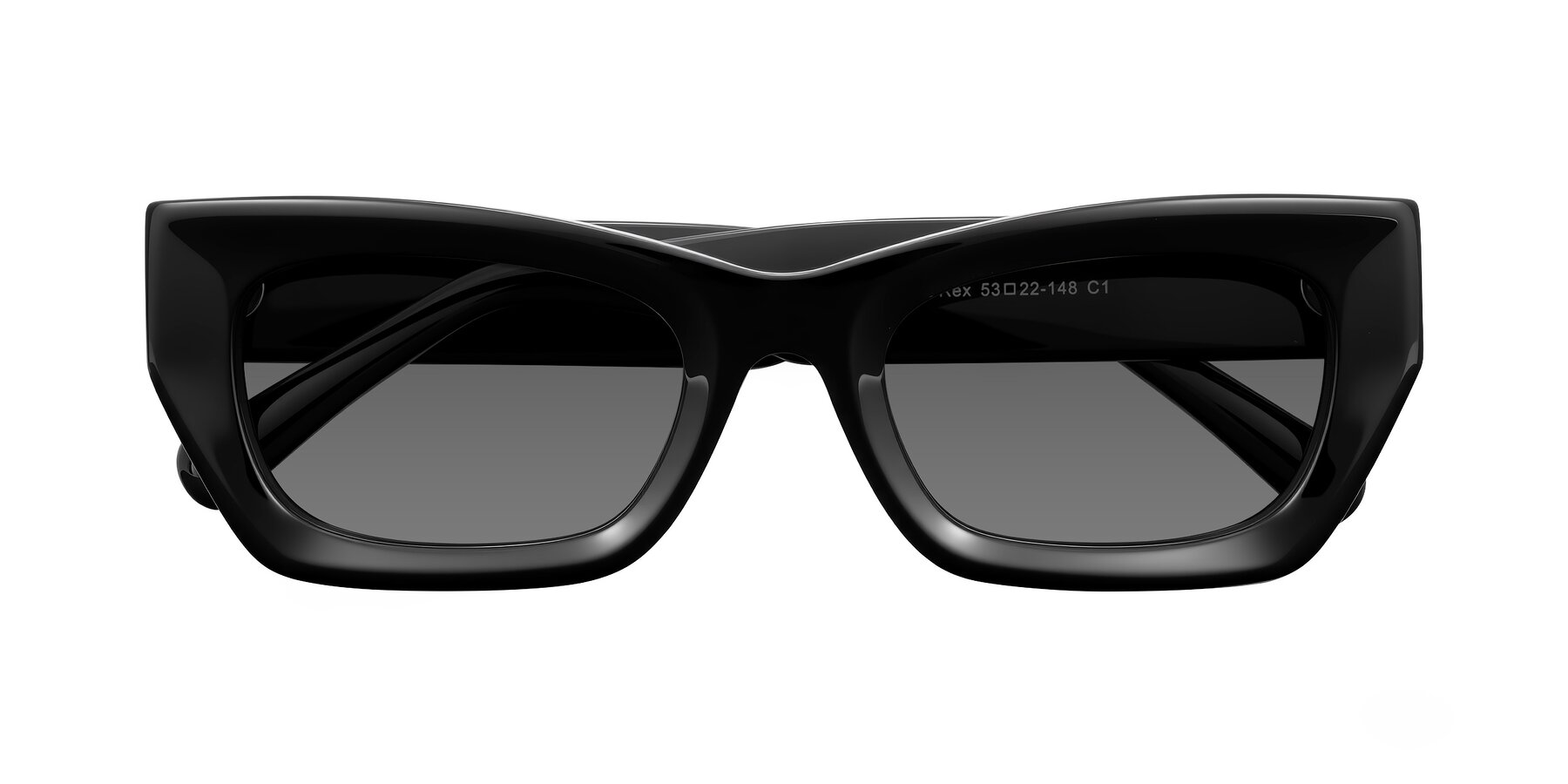 Folded Front of Rex in Black with Medium Gray Tinted Lenses