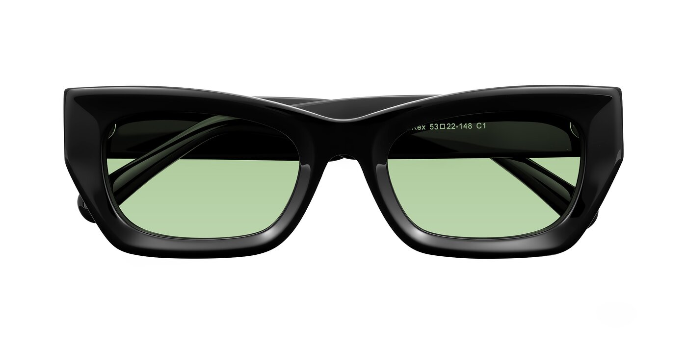 Rex - Black Tinted Sunglasses