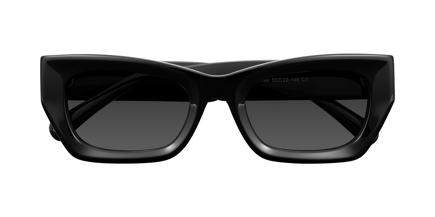 Rex - Black Tinted Sunglasses