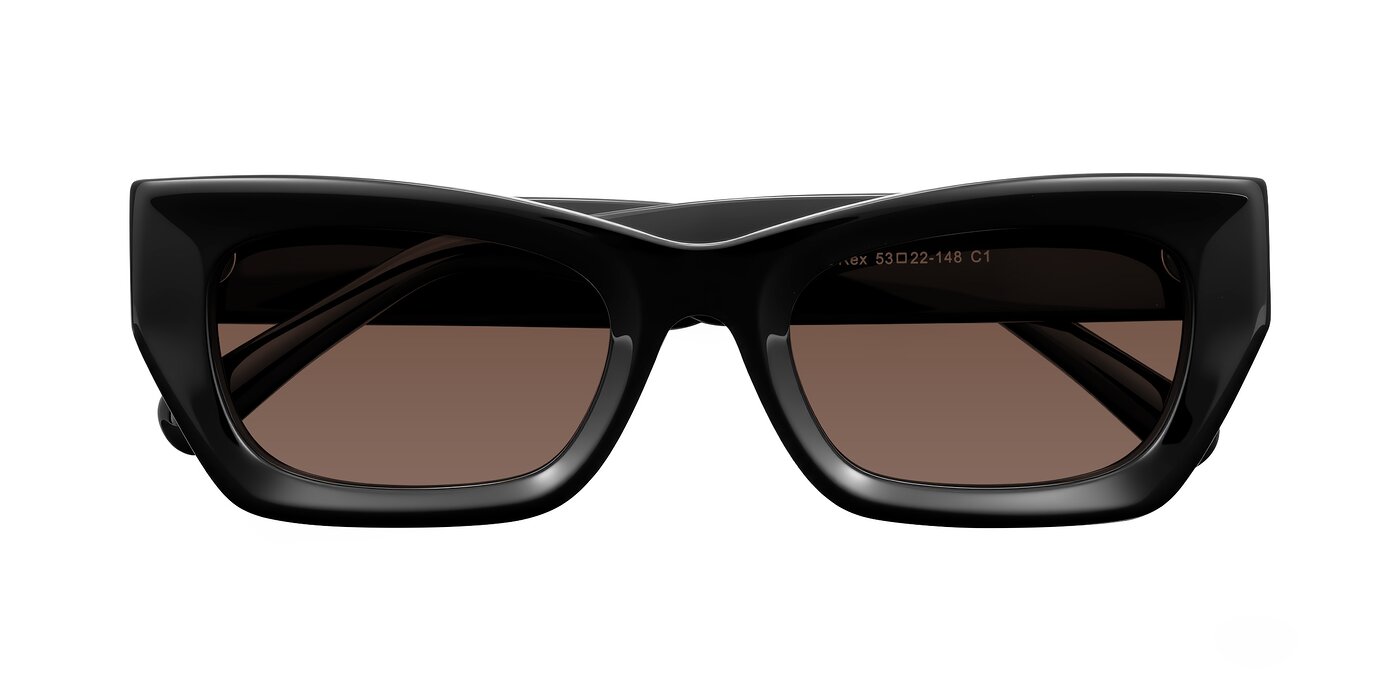 Rex - Black Tinted Sunglasses