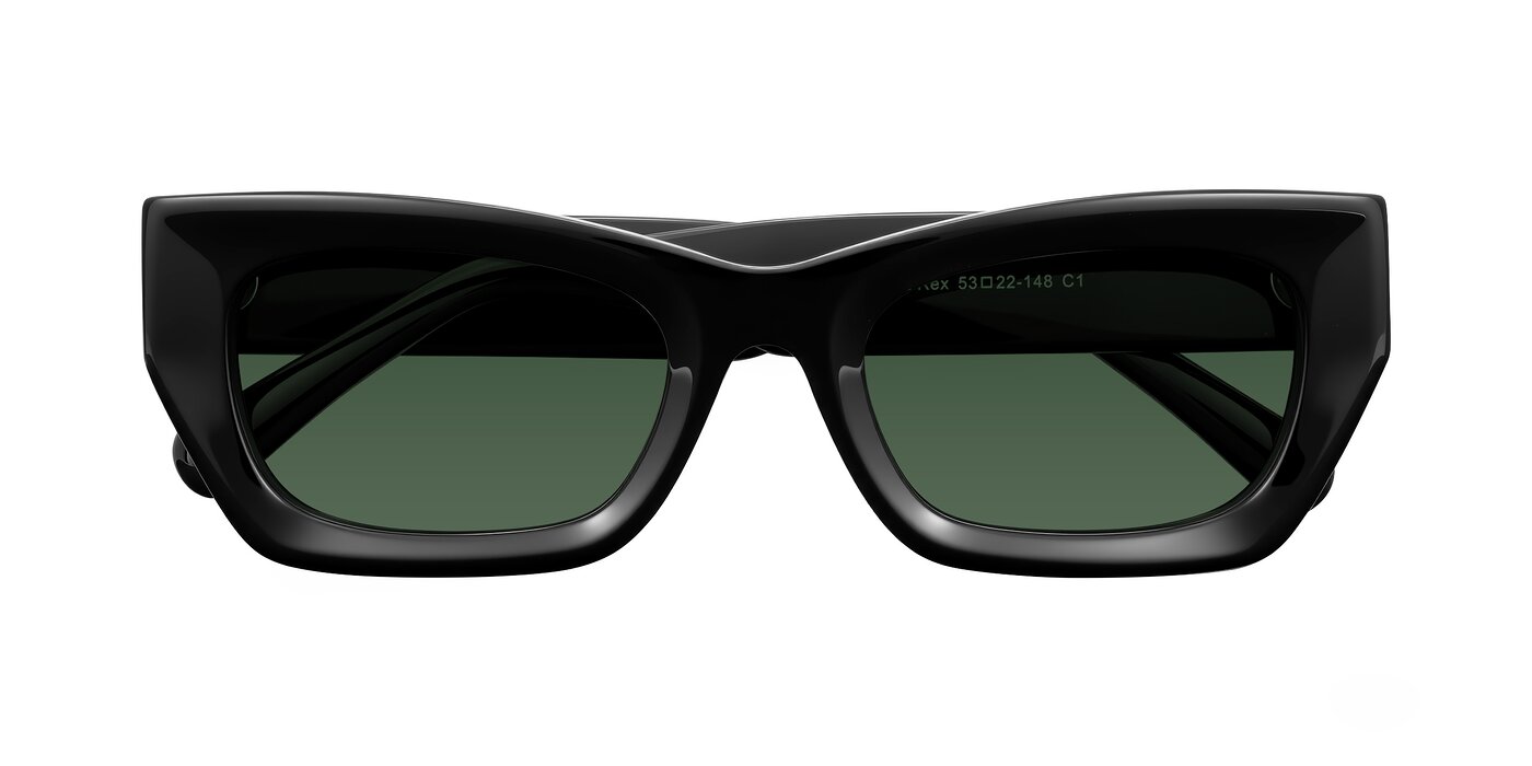 Rex - Black Tinted Sunglasses