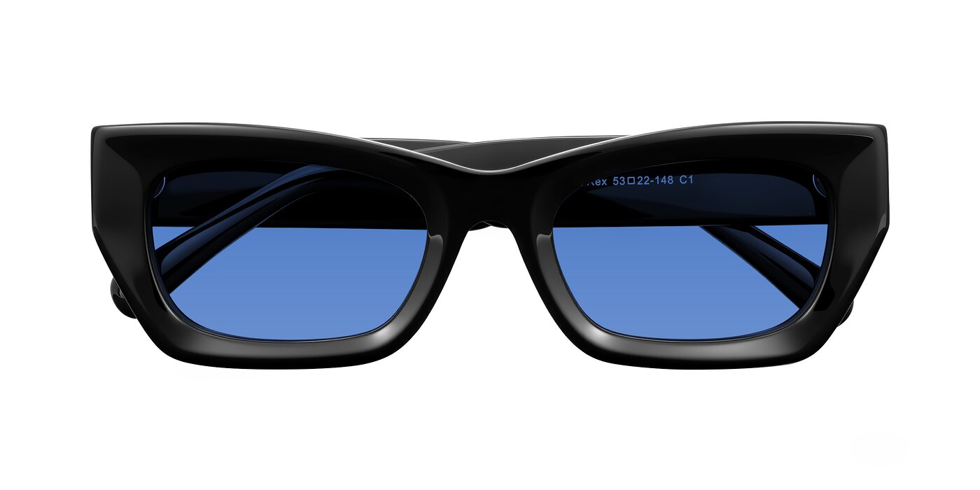 Rex - Black Tinted Sunglasses