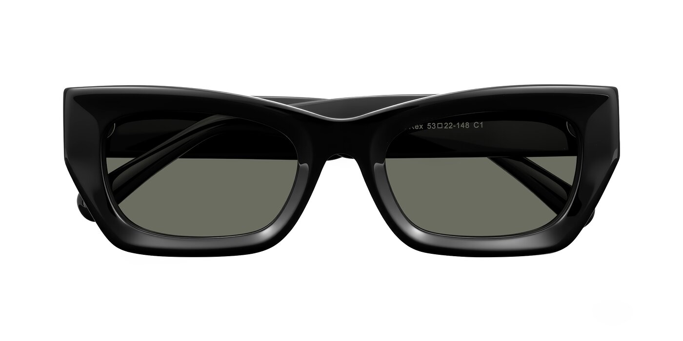 Rex - Black Polarized Sunglasses