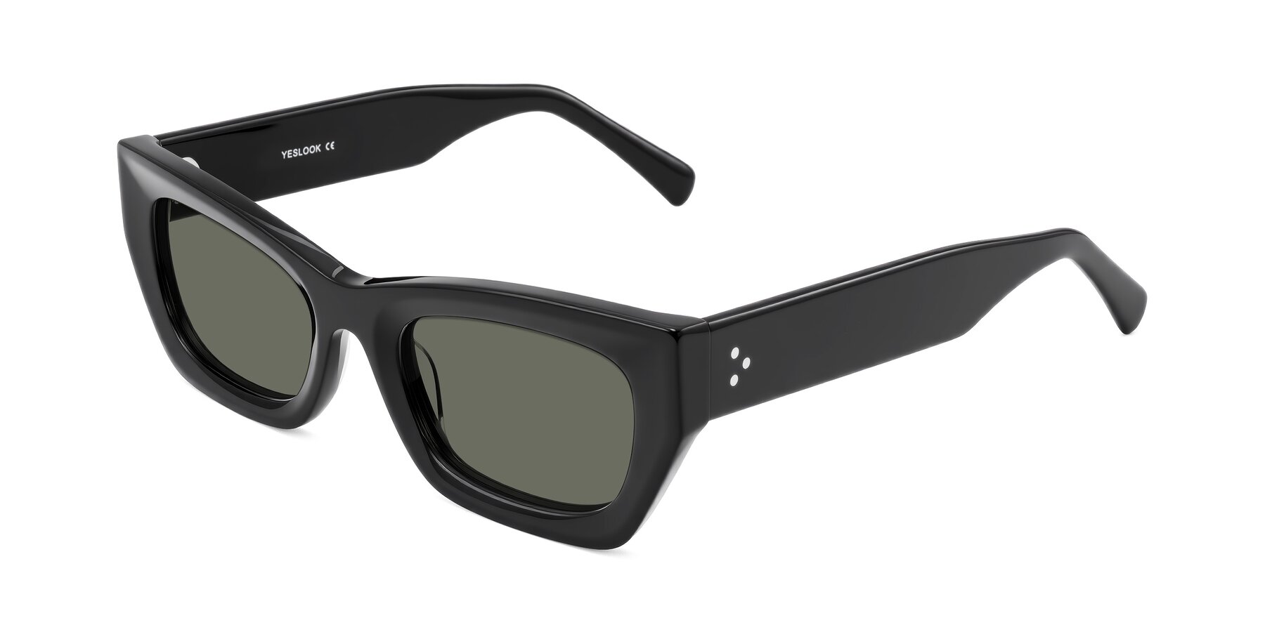 Angle of Rex in Black with Gray Polarized Lenses