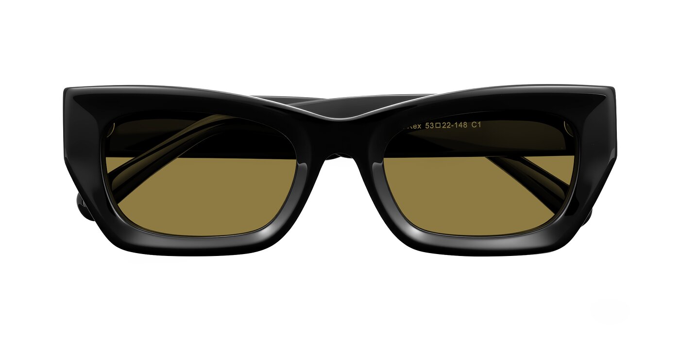 Rex - Black Polarized Sunglasses