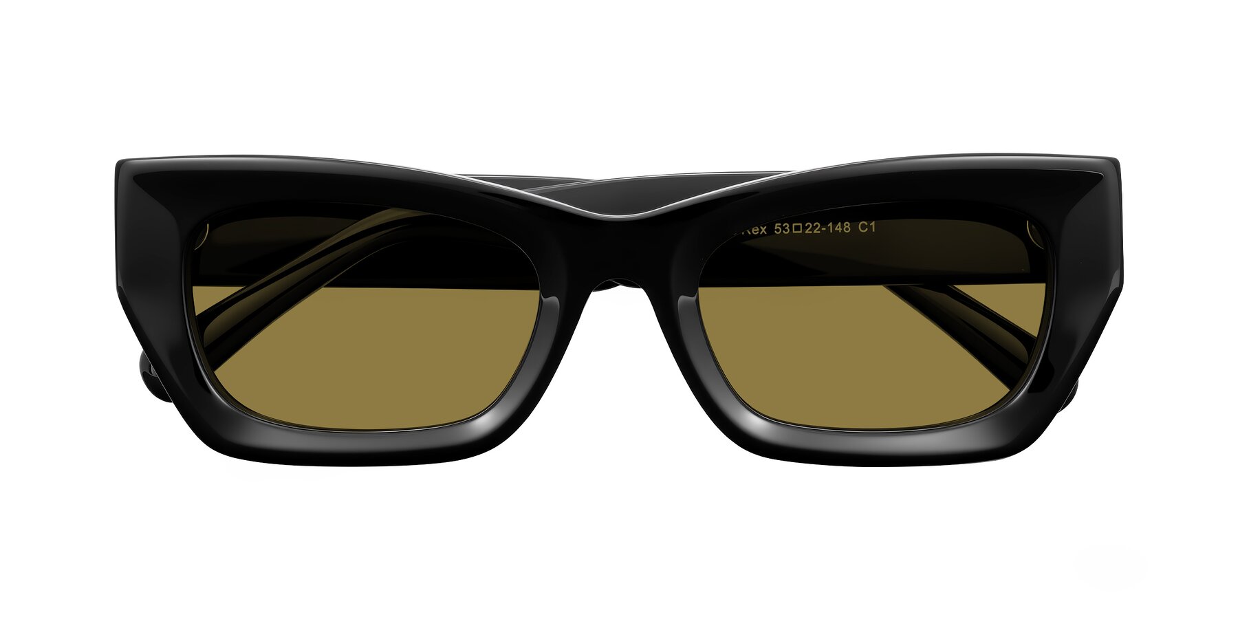 Folded Front of Rex in Black with Brown Polarized Lenses