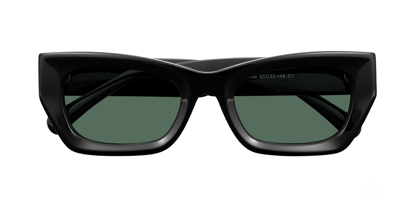 Rex - Black Polarized Sunglasses