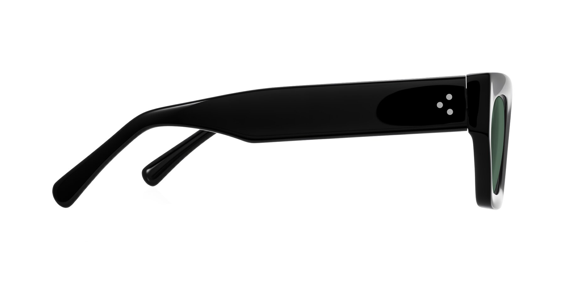 Side of Rex in Black with Green Polarized Lenses