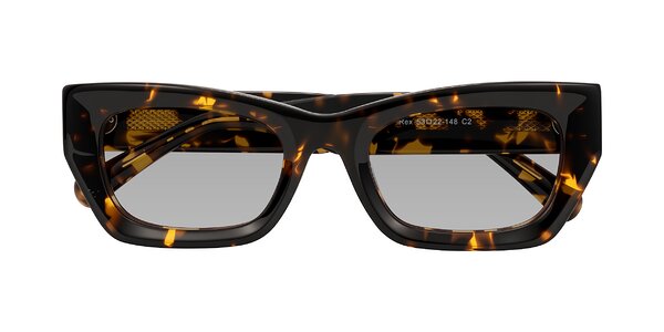 Front of Rex in Tortoise