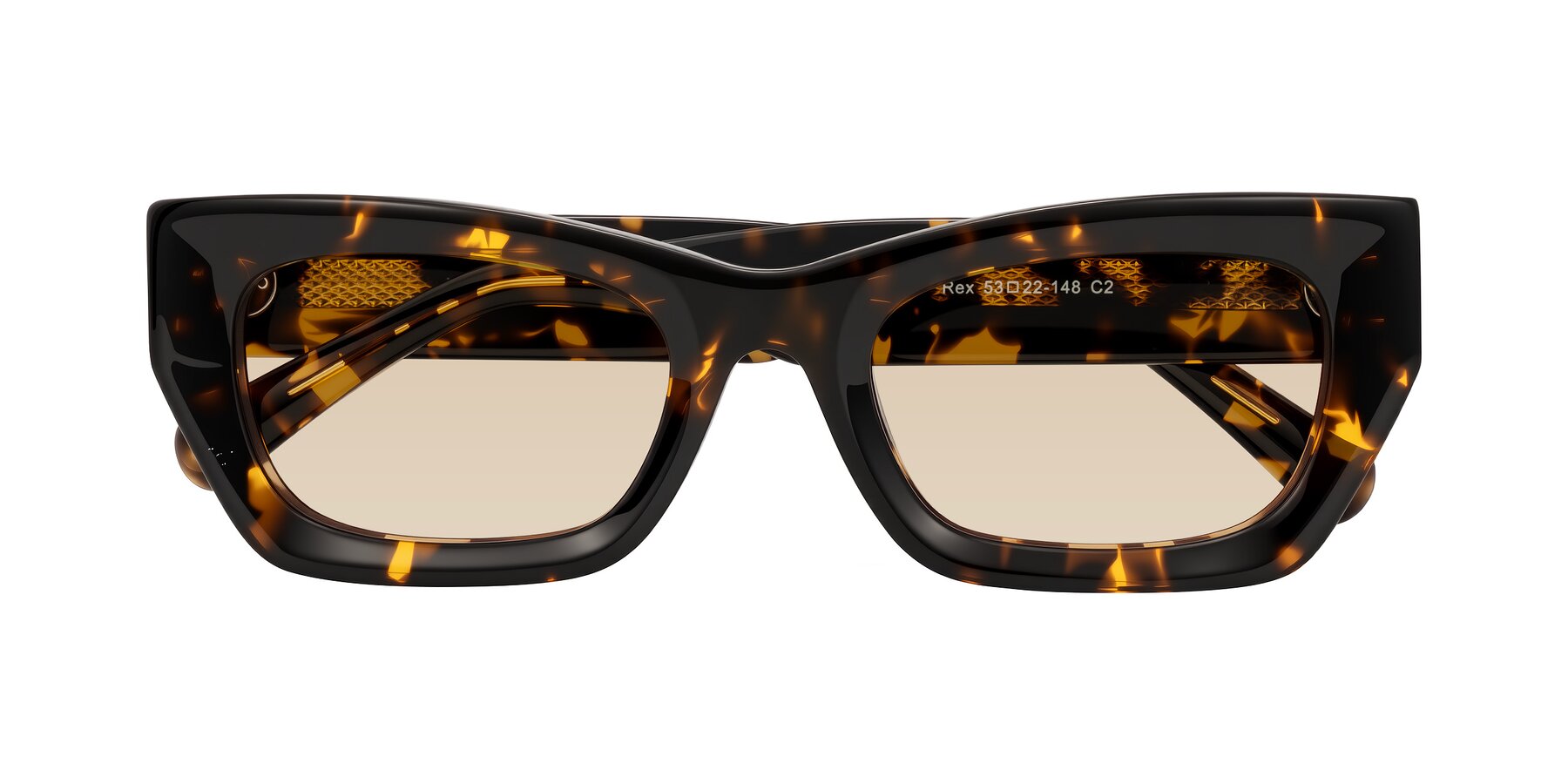 Folded Front of Rex in Tortoise with Light Brown Tinted Lenses