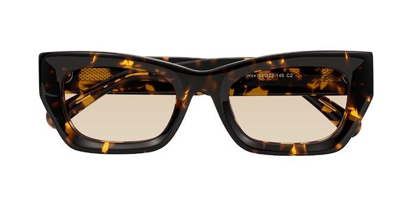 Front of Rex in Tortoise