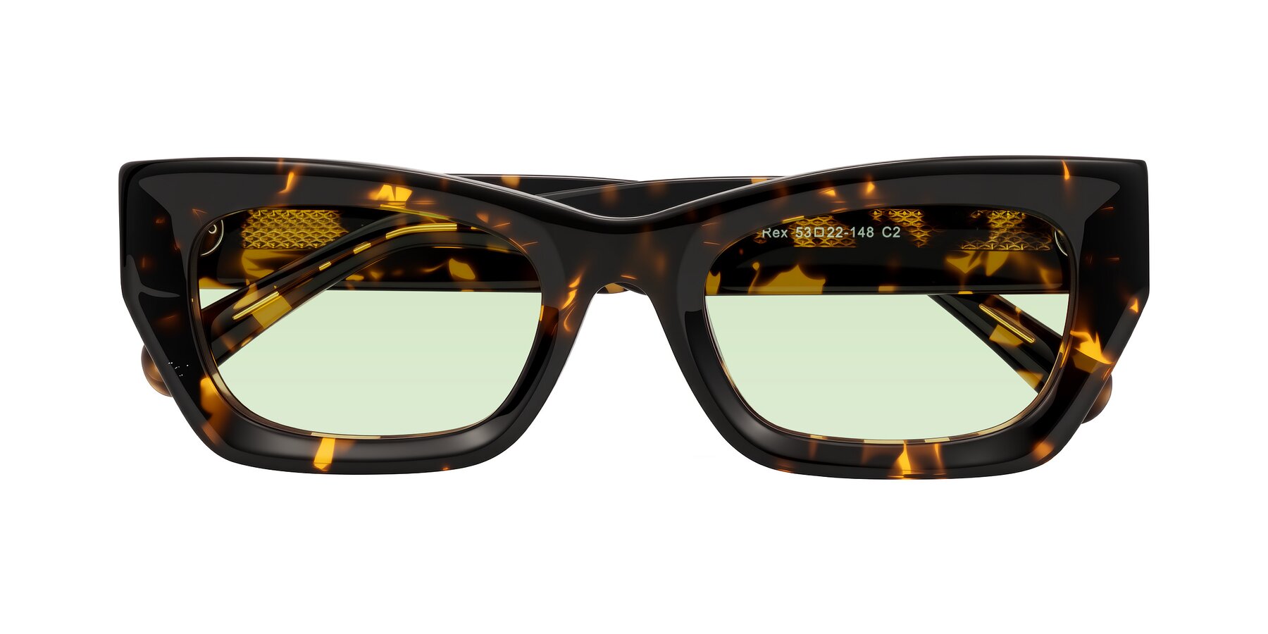 Folded Front of Rex in Tortoise with Light Green Tinted Lenses