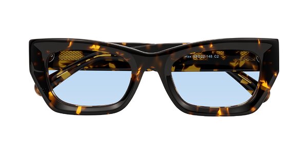 Front of Rex in Tortoise