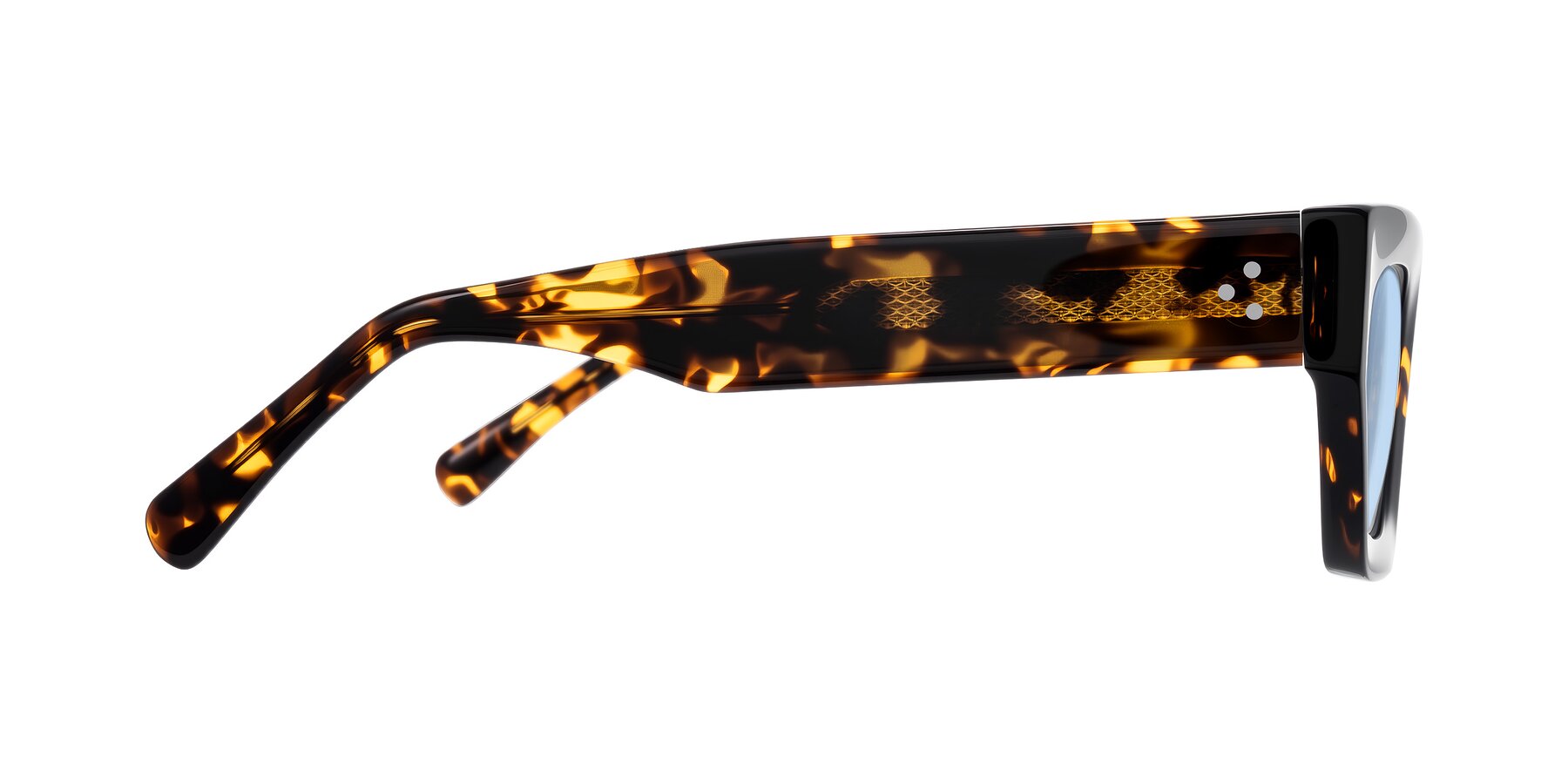 Side of Rex in Tortoise with Light Blue Tinted Lenses