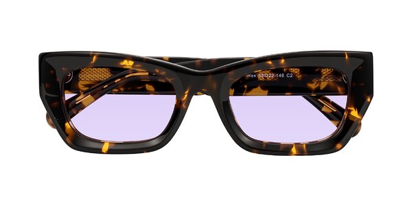 Front of Rex in Tortoise