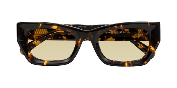 Front of Rex in Tortoise