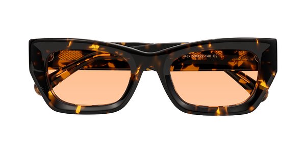 Front of Rex in Tortoise
