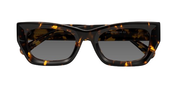 Front of Rex in Tortoise