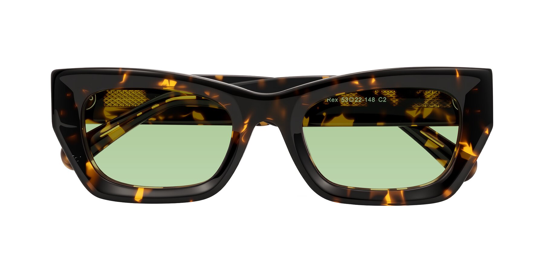 Folded Front of Rex in Tortoise with Medium Green Tinted Lenses
