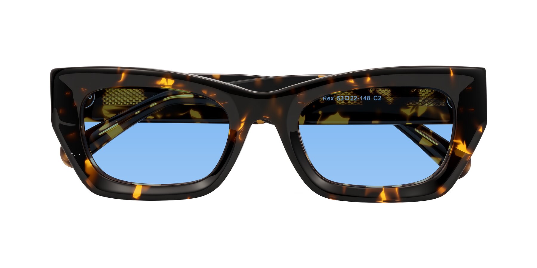 Folded Front of Rex in Tortoise with Medium Blue Tinted Lenses