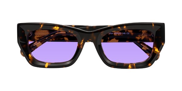Front of Rex in Tortoise