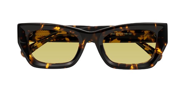 Front of Rex in Tortoise